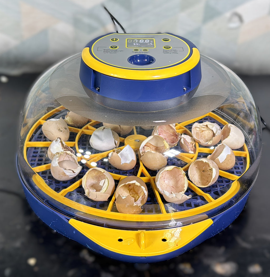 27 Eggs Full Automatic Egg incubator