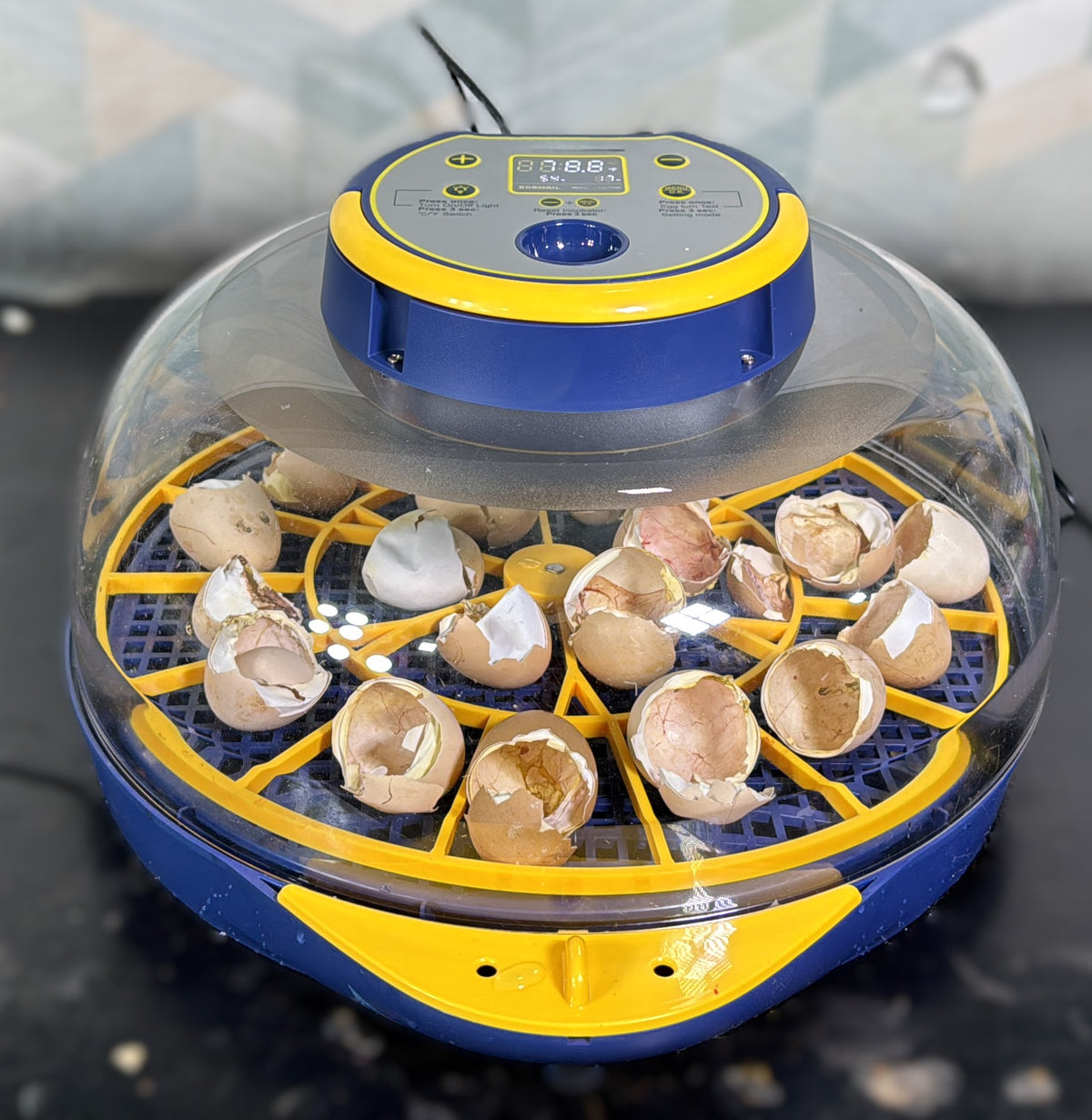 27 Eggs Full Automatic Egg incubator