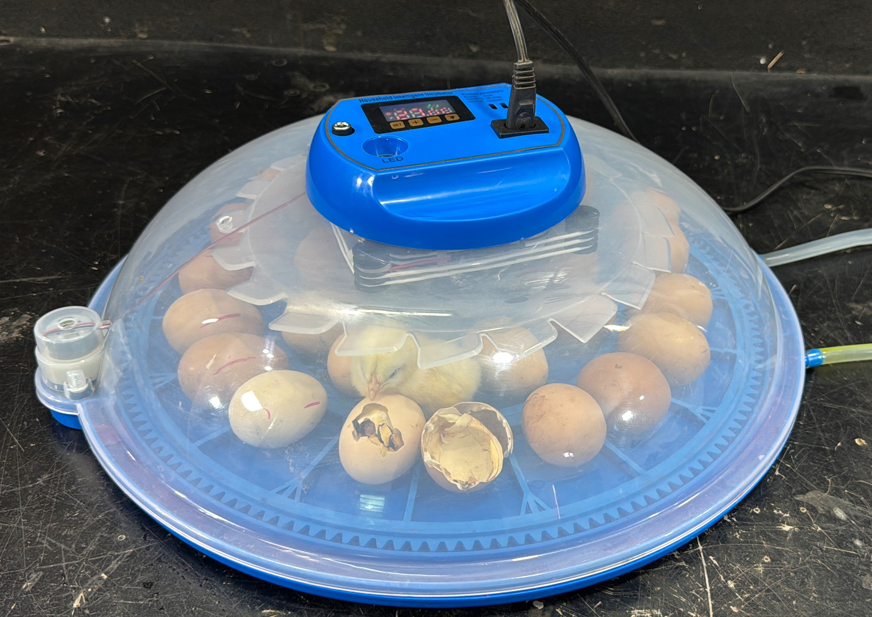 27 Eggs Full Automatic Egg incubator