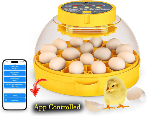 16 Eggs Fully Automatic Egg Incubator