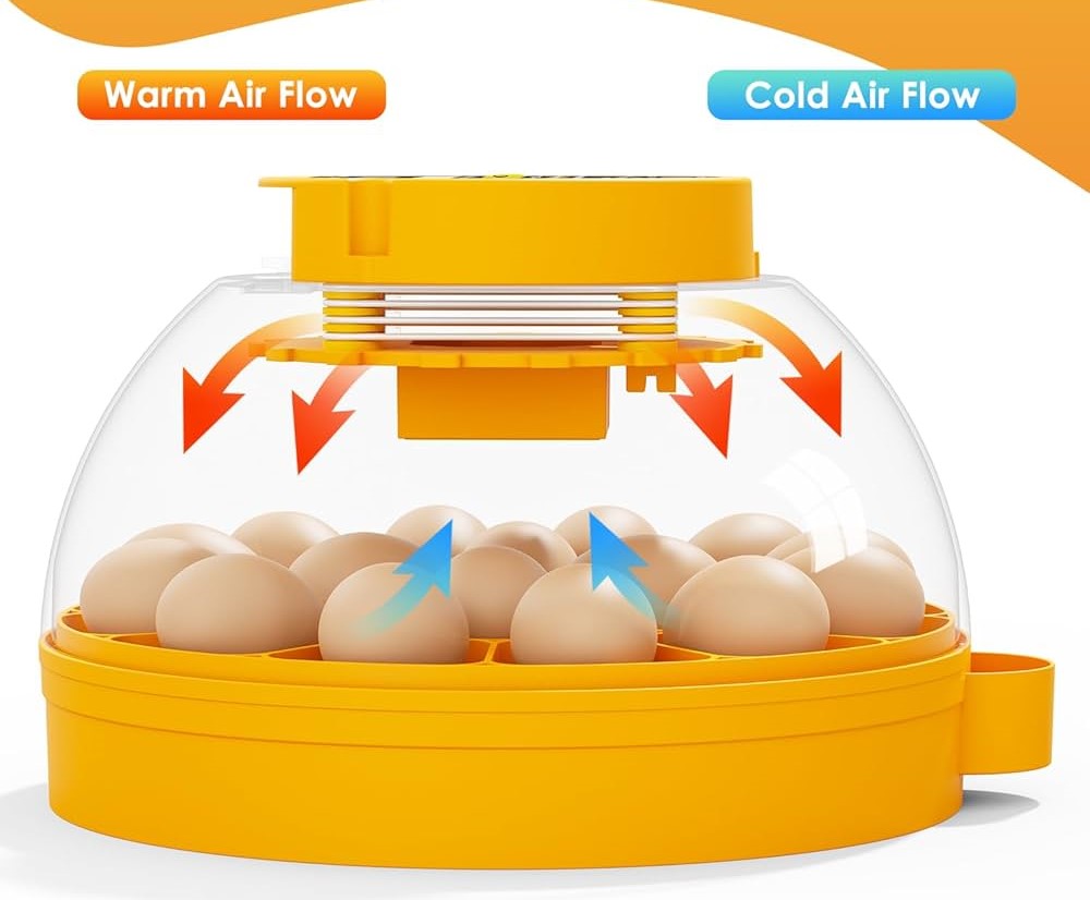 16 Eggs Fully Automatic Egg Incubator