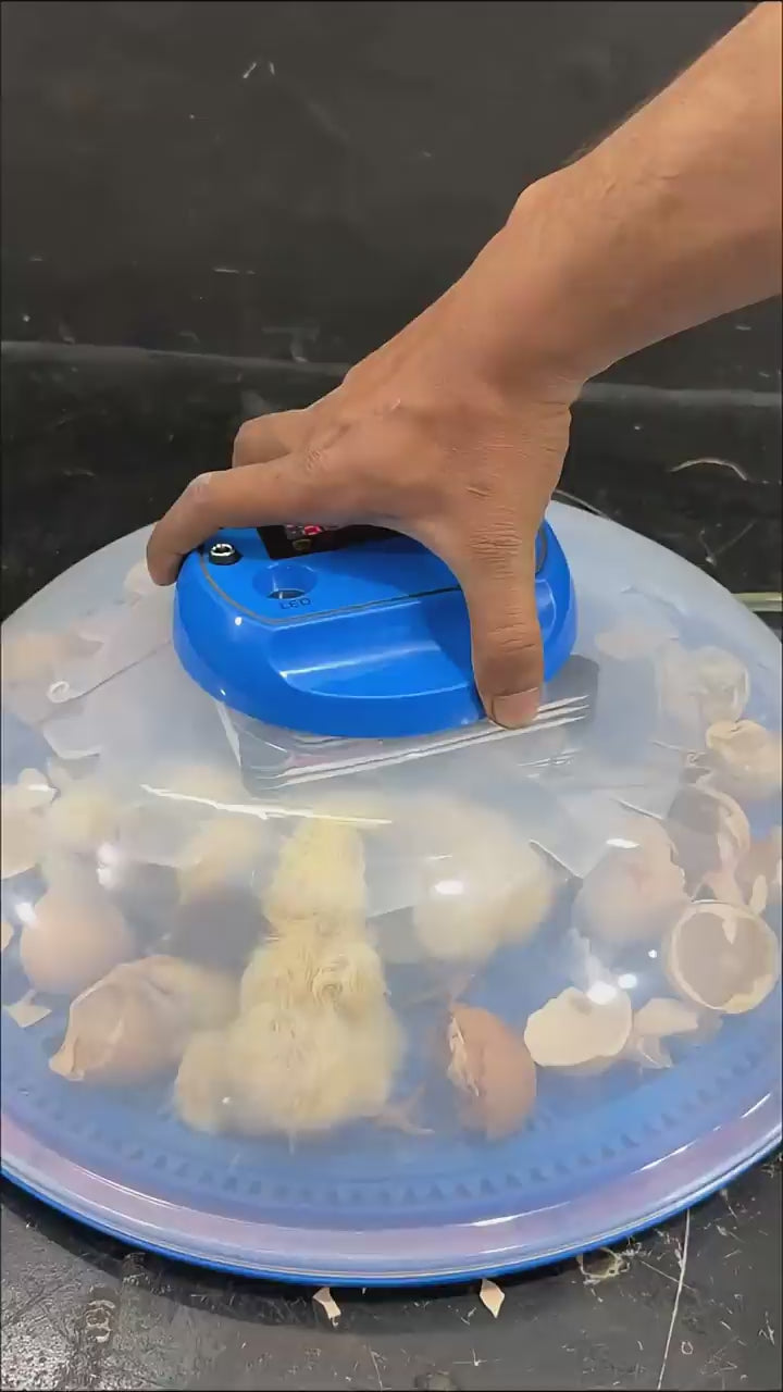 27 Eggs Full Automatic Egg incubator