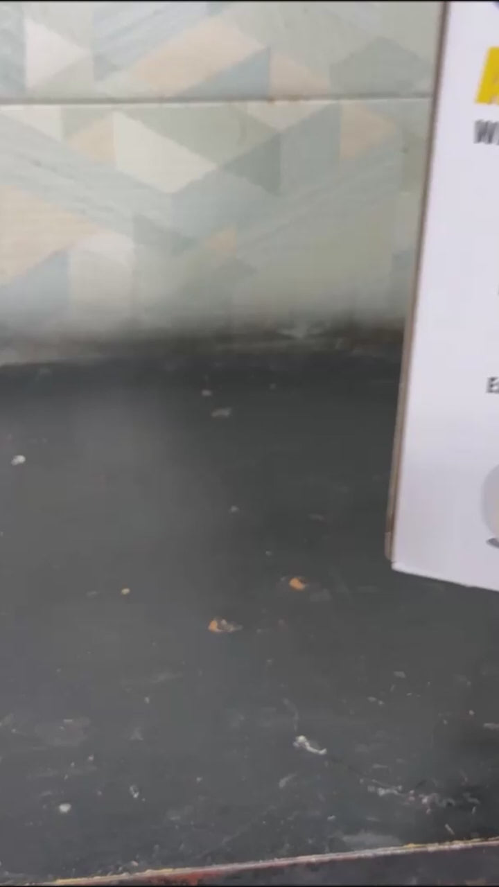 27 Eggs Full Automatic Egg incubator