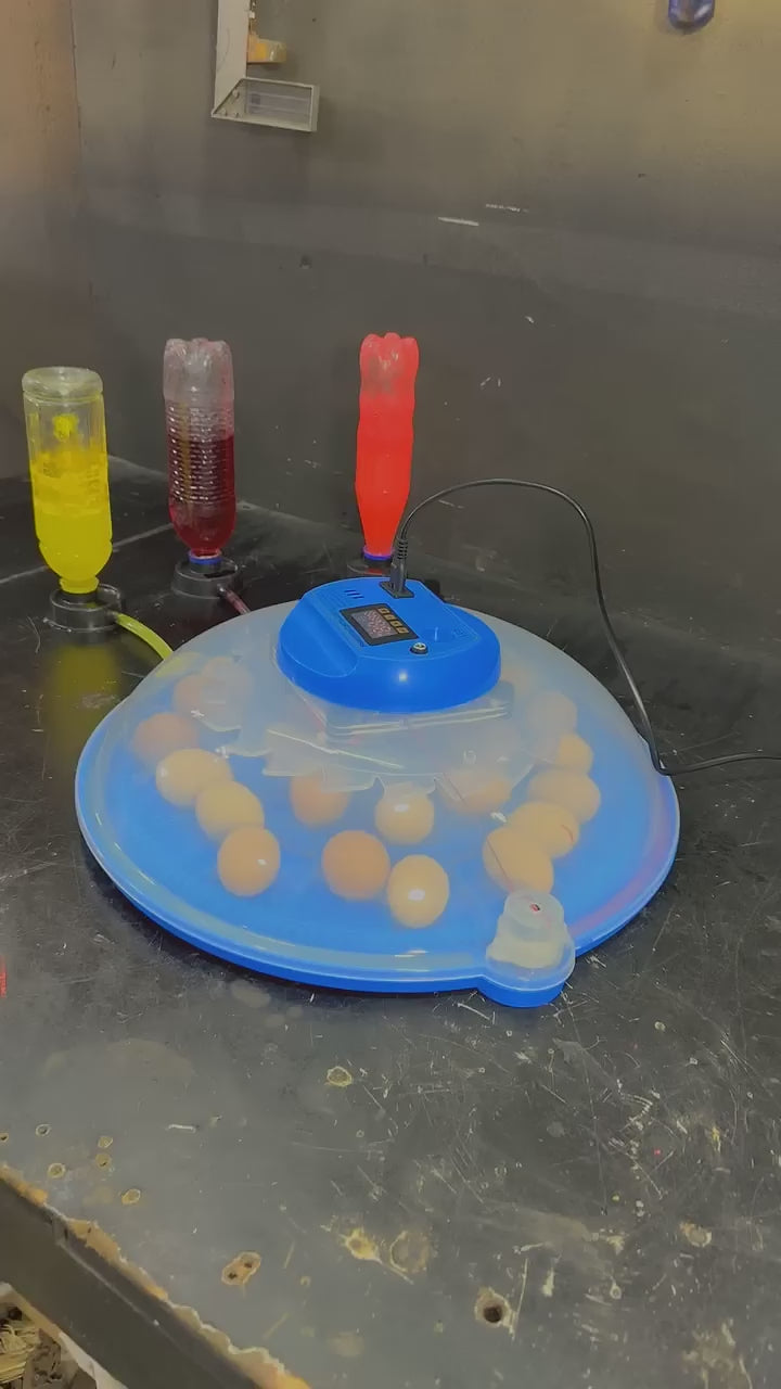 27 Eggs Full Automatic Egg incubator